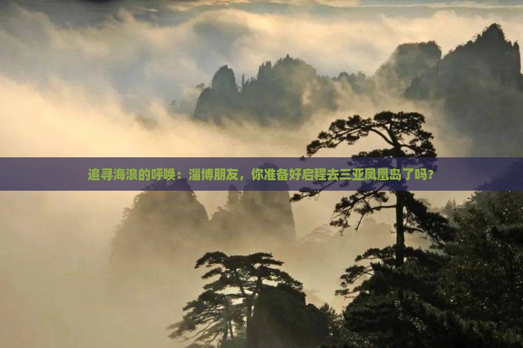 追寻海浪的呼唤：淄博朋友，你准备好启程去三亚凤凰岛了吗？