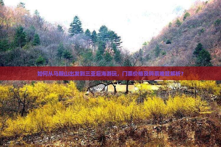 如何从马鞍山出发到三亚后海游玩，门票价格及购票难题解析？