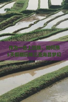 作为一名上班族，如何用5天假期玩转三亚海昌梦幻海洋不夜城？