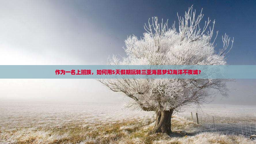 作为一名上班族，如何用5天假期玩转三亚海昌梦幻海洋不夜城？