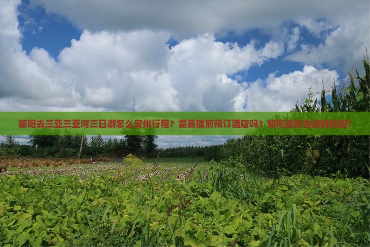 德阳去三亚三亚湾三日游怎么安排行程？需要提前预订酒店吗？如何选择合适的航班？