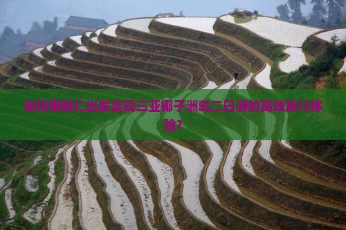 如何用铜仁出发实现三亚椰子洲岛二日游的高效旅行体验？