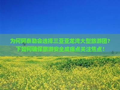 为何阿泰勒会选择三亚亚龙湾大型旅游团？下如何确保旅游安全成痛点关注焦点！