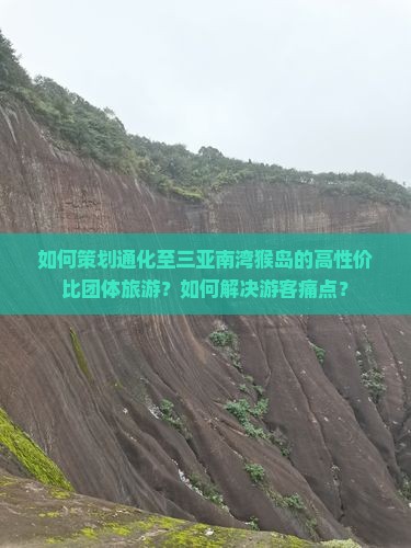 如何策划通化至三亚南湾猴岛的高性价比团体旅游？如何解决游客痛点？