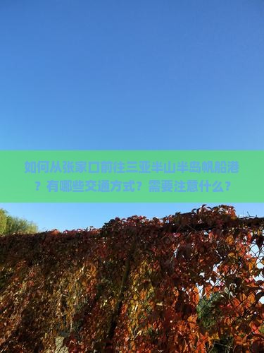 如何从张家口前往三亚半山半岛帆船港？有哪些交通方式？需要注意什么？