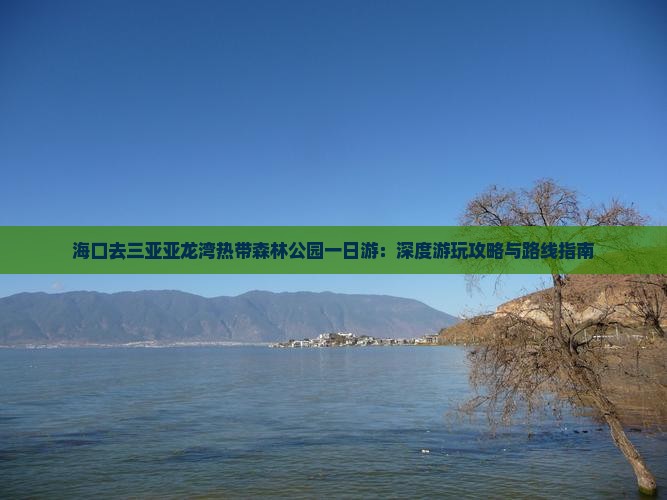 海口去三亚亚龙湾热带森林公园一日游：深度游玩攻略与路线指南