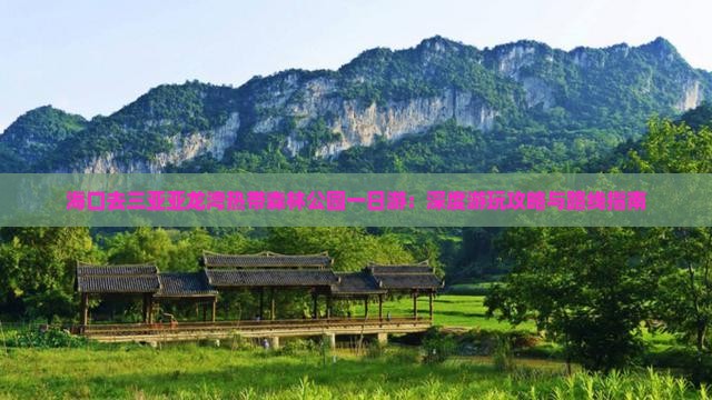 海口去三亚亚龙湾热带森林公园一日游：深度游玩攻略与路线指南