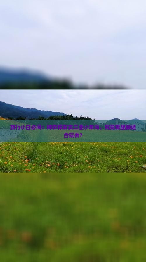 旅行小白必问：神农荐发去三亚小东海，究竟哪里最适合玩耍？