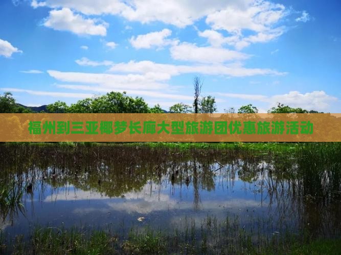 福州到三亚椰梦长廊大型旅游团优惠旅游活动