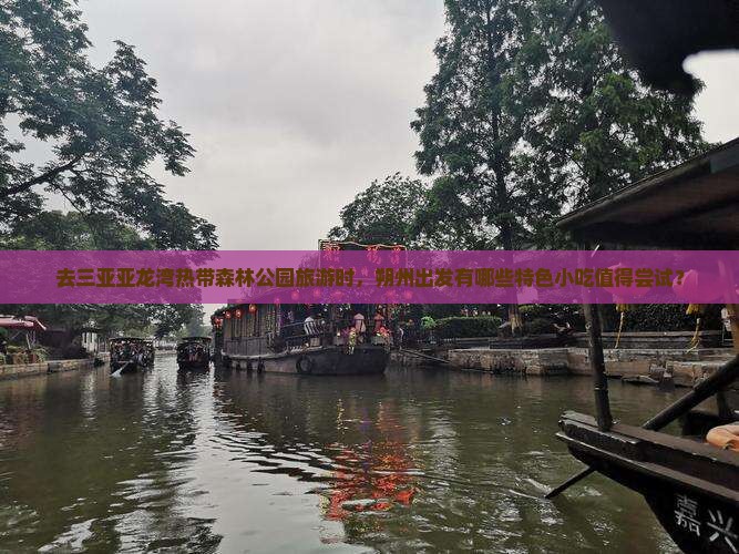 去三亚亚龙湾热带森林公园旅游时，朔州出发有哪些特色小吃值得尝试？