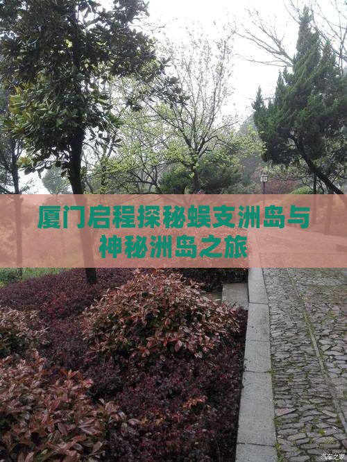 厦门启程探秘蜈支洲岛与神秘洲岛之旅