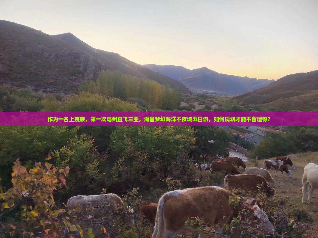 作为一名上班族，第一次亳州直飞三亚，海昌梦幻海洋不夜城五日游，如何规划才能不留遗憾？