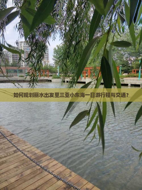 如何规划丽水出发至三亚小东海一日游行程与交通？