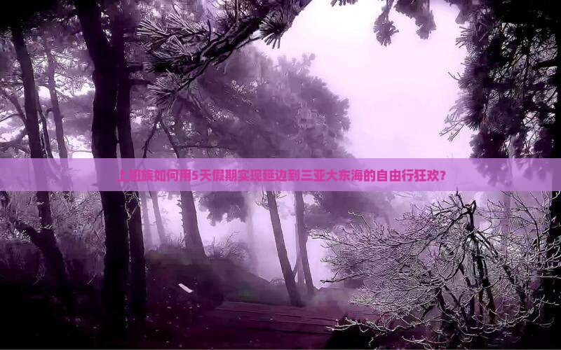上班族如何用5天假期实现延边到三亚大东海的自由行狂欢？