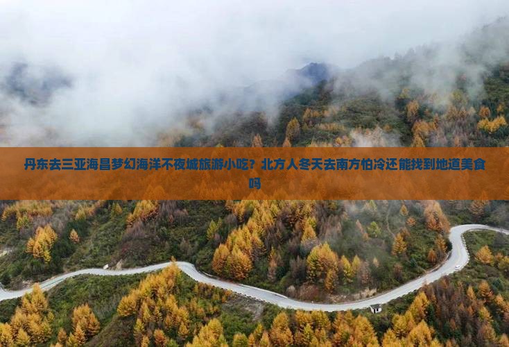 丹东去三亚海昌梦幻海洋不夜城旅游小吃？北方人冬天去南方怕冷还能找到地道美食吗