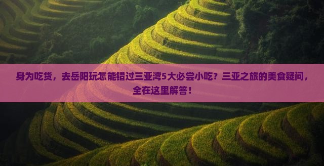 身为吃货，去岳阳玩怎能错过三亚湾5大必尝小吃？三亚之旅的美食疑问，全在这里解答！