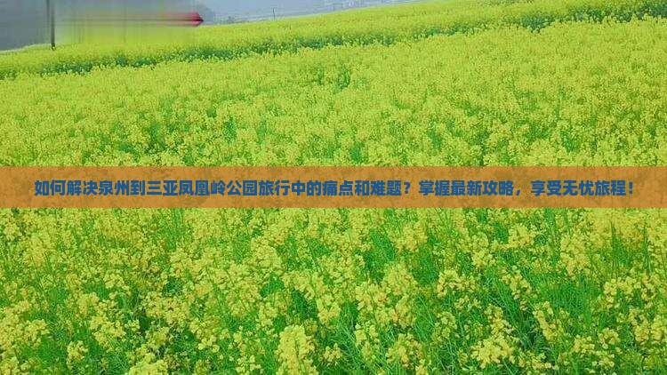 如何解决泉州到三亚凤凰岭公园旅行中的痛点和难题？掌握最新攻略，享受无忧旅程！
