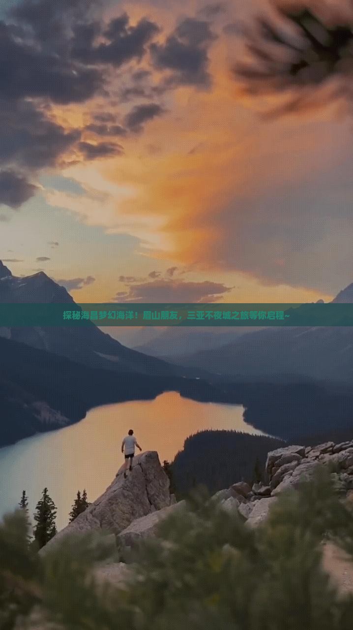 探秘海昌梦幻海洋！眉山朋友，三亚不夜城之旅等你启程~