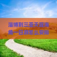 淄博到三亚天涯海角一日游怎么安排行程？需要多长时间？费用大概是多少？