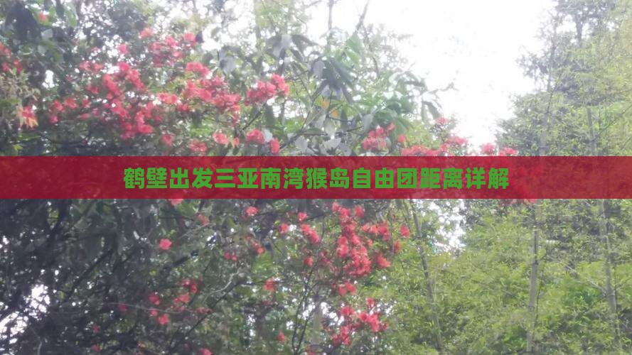 鹤壁出发三亚南湾猴岛自由团距离详解