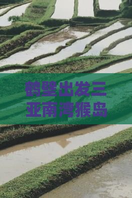 鹤壁出发三亚南湾猴岛自由团距离详解