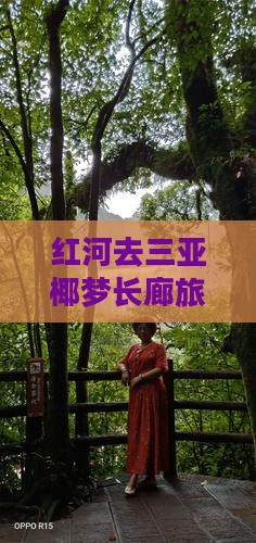 红河去三亚椰梦长廊旅游攻略及注意事项