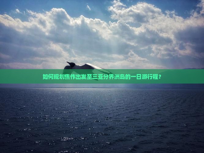 如何规划焦作出发至三亚分界洲岛的一日游行程？