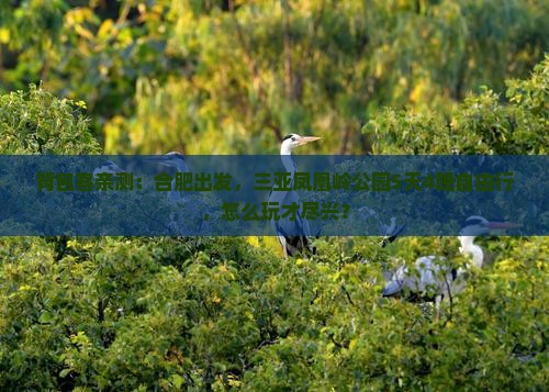 背包客亲测：合肥出发，三亚凤凰岭公园5天4晚自由行，怎么玩才尽兴？