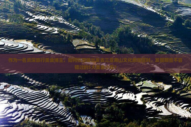 作为一名资深旅行美食博主，如何在楚雄出发去三亚南山文化旅游区时，发掘那些不容错过的5大美食小吃？