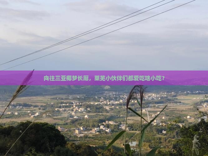 向往三亚椰梦长廊，莱芜小伙伴们都爱吃啥小吃？