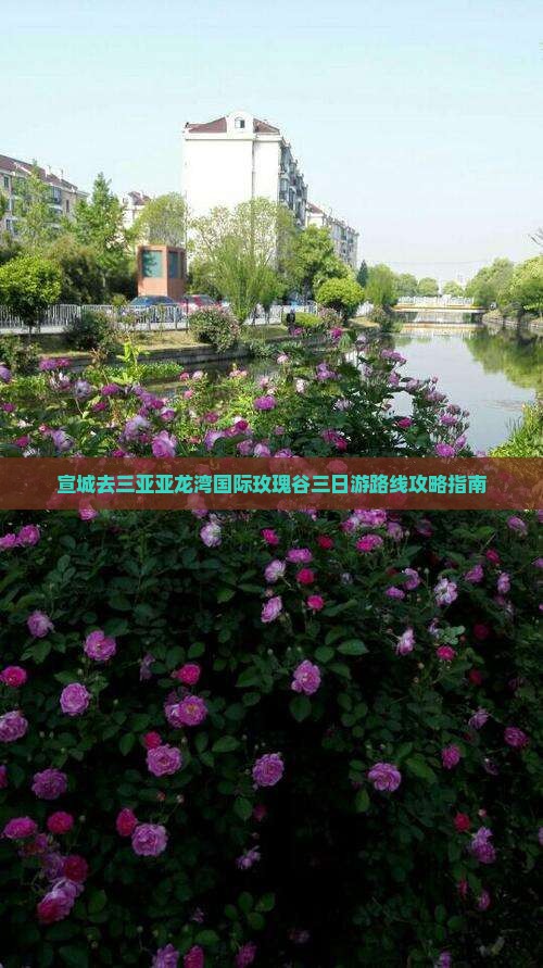 宣城去三亚亚龙湾国际玫瑰谷三日游路线攻略指南