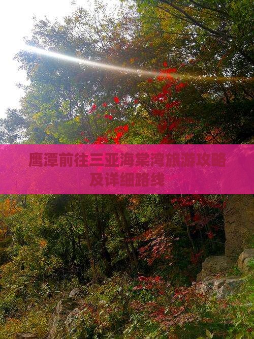 鹰潭前往三亚海棠湾旅游攻略及详细路线