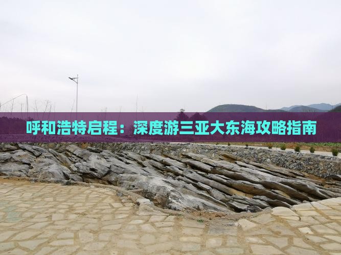 呼和浩特启程：深度游三亚大东海攻略指南