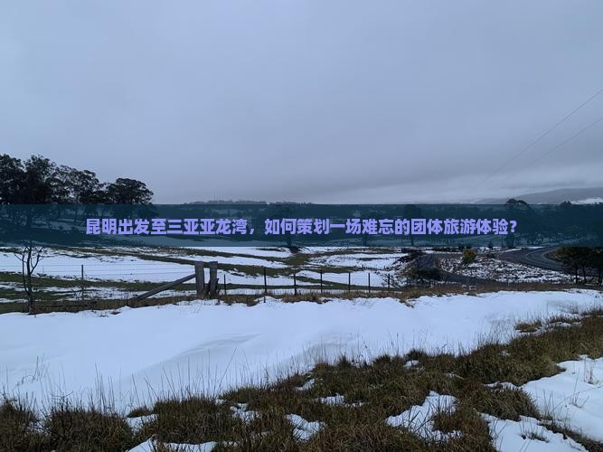 昆明出发至三亚亚龙湾，如何策划一场难忘的团体旅游体验？