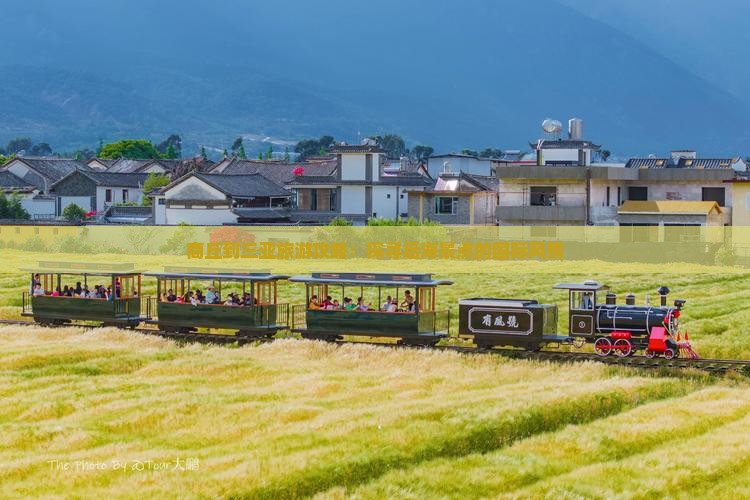 商丘到三亚旅游攻略：探寻后海景点的国际风情