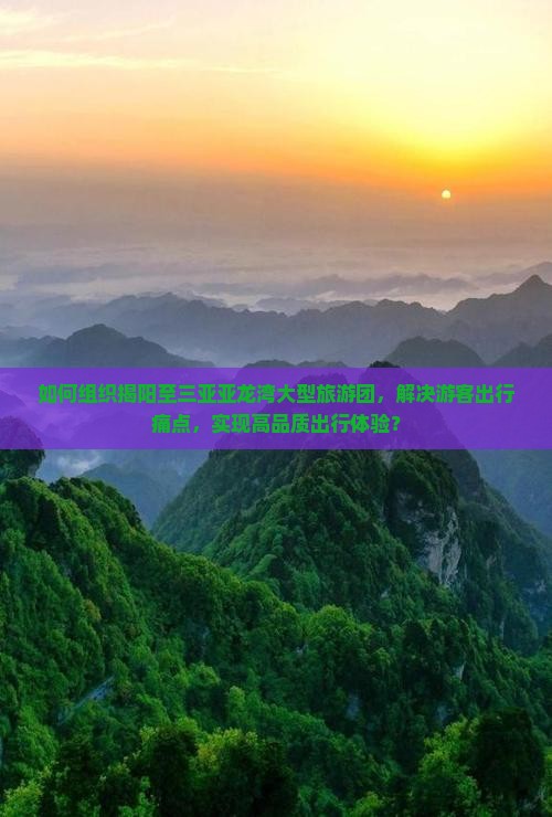 如何组织揭阳至三亚亚龙湾大型旅游团，解决游客出行痛点，实现高品质出行体验？