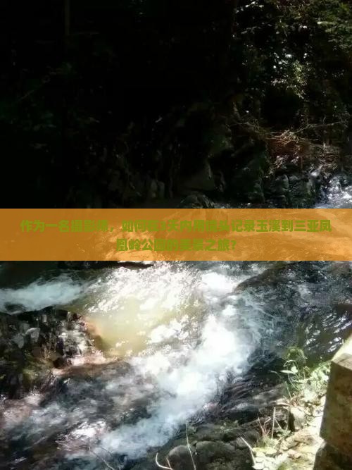 作为一名摄影师，如何在3天内用镜头记录玉溪到三亚凤凰岭公园的美景之旅？