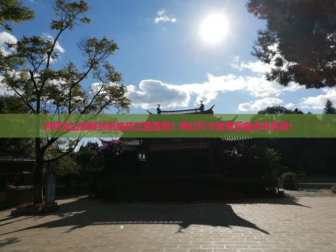 为何文山游客纷纷选择三亚西岛？网红打卡地背后痛点与热词！