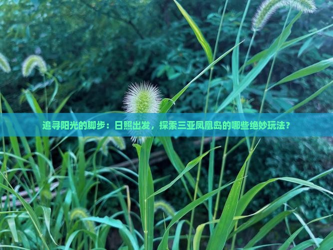 追寻阳光的脚步：日照出发，探索三亚凤凰岛的哪些绝妙玩法？