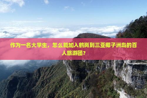 作为一名大学生，怎么能加入鹤岗到三亚椰子洲岛的百人旅游团？