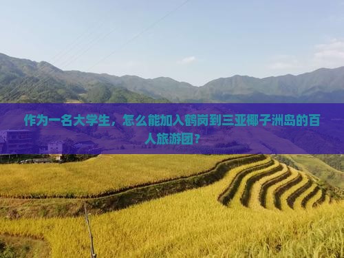作为一名大学生，怎么能加入鹤岗到三亚椰子洲岛的百人旅游团？