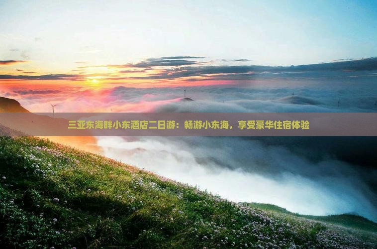 三亚东海畔小东酒店二日游：畅游小东海，享受豪华住宿体验