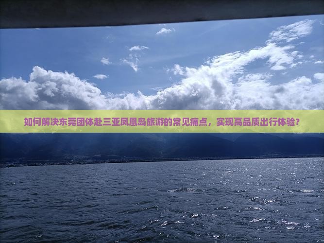 如何解决东莞团体赴三亚凤凰岛旅游的常见痛点，实现高品质出行体验？