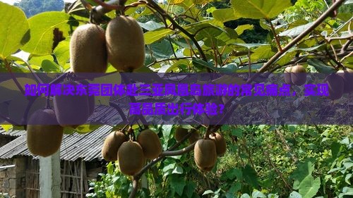 如何解决东莞团体赴三亚凤凰岛旅游的常见痛点，实现高品质出行体验？