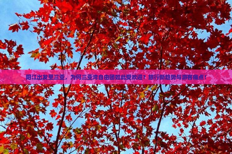阳江出发至三亚，为何三亚湾自由团如此受欢迎？旅行新趋势与游客痛点！