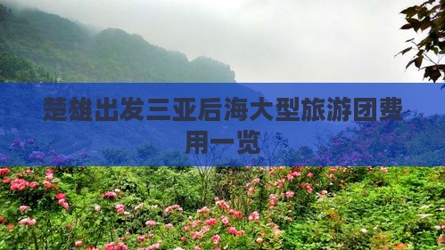楚雄出发三亚后海大型旅游团费用一览