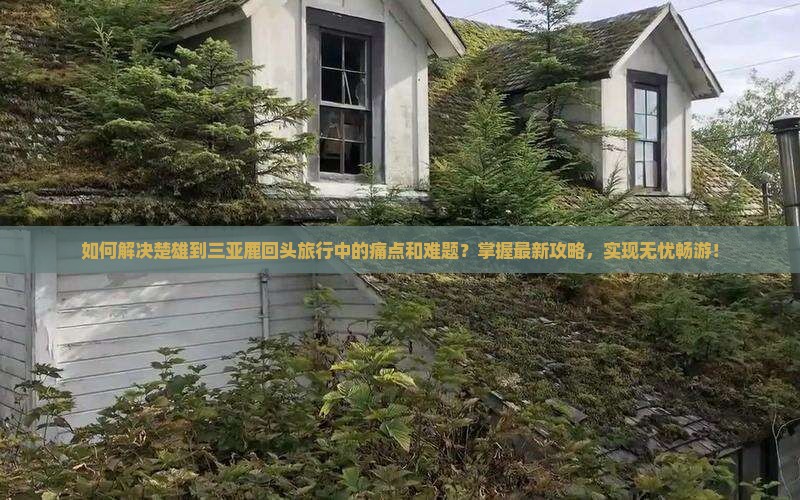 如何解决楚雄到三亚鹿回头旅行中的痛点和难题？掌握最新攻略，实现无忧畅游！