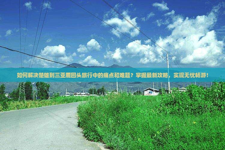 如何解决楚雄到三亚鹿回头旅行中的痛点和难题？掌握最新攻略，实现无忧畅游！