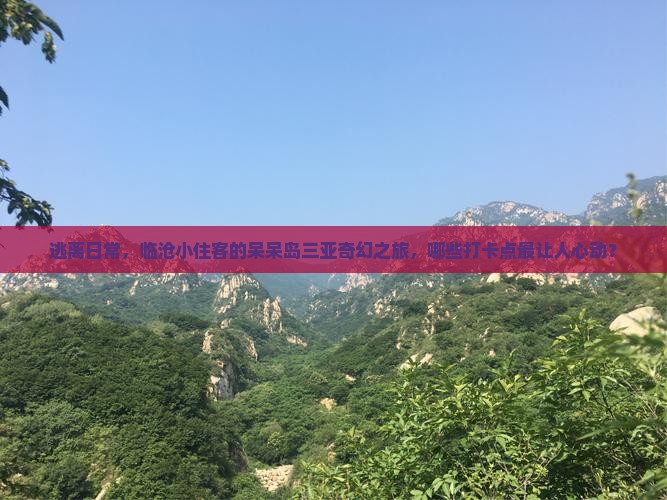 逃离日常，临沧小住客的呆呆岛三亚奇幻之旅，哪些打卡点最让人心动？