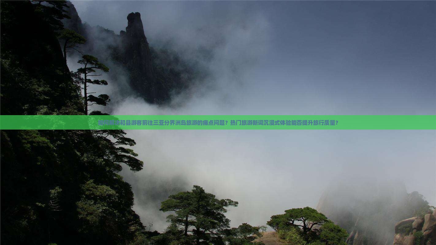 如何解决和县游客前往三亚分界洲岛旅游的痛点问题？热门旅游新词沉浸式体验能否提升旅行质量？